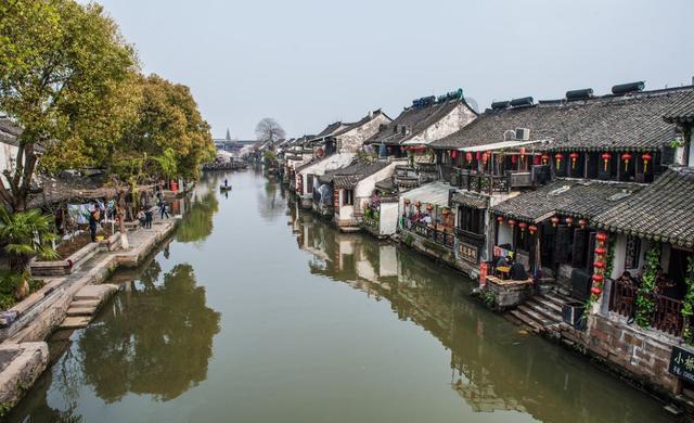 营救小乌龟